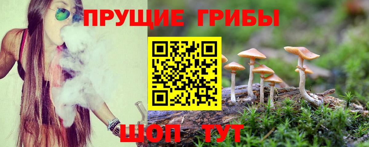 Псилоцибиновые грибы Psilocybine cubensis Ульяновск